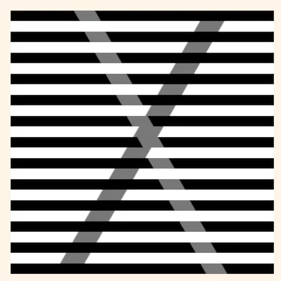 Illusion de Munker-White